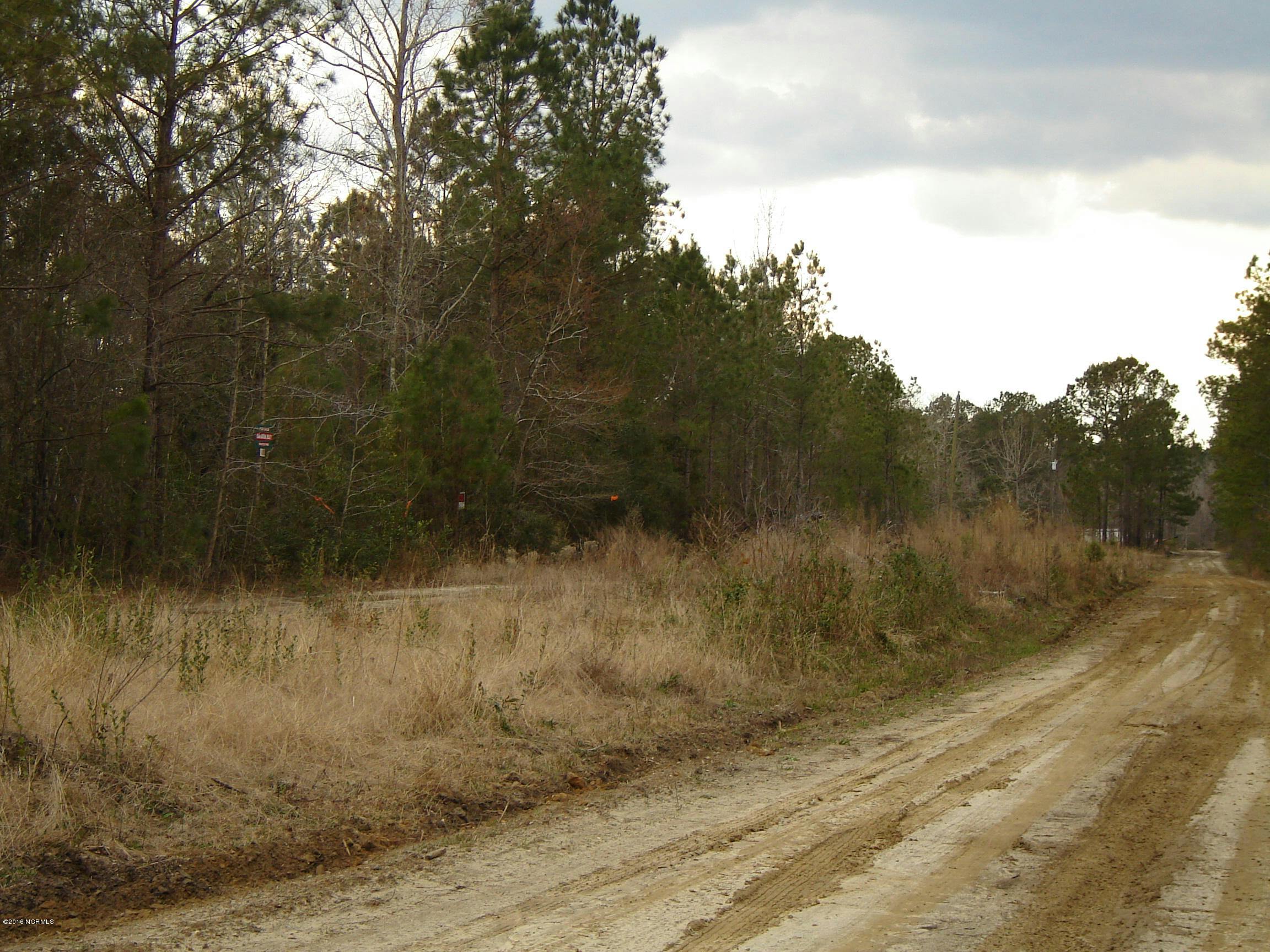 BWilletts Tract Pic1