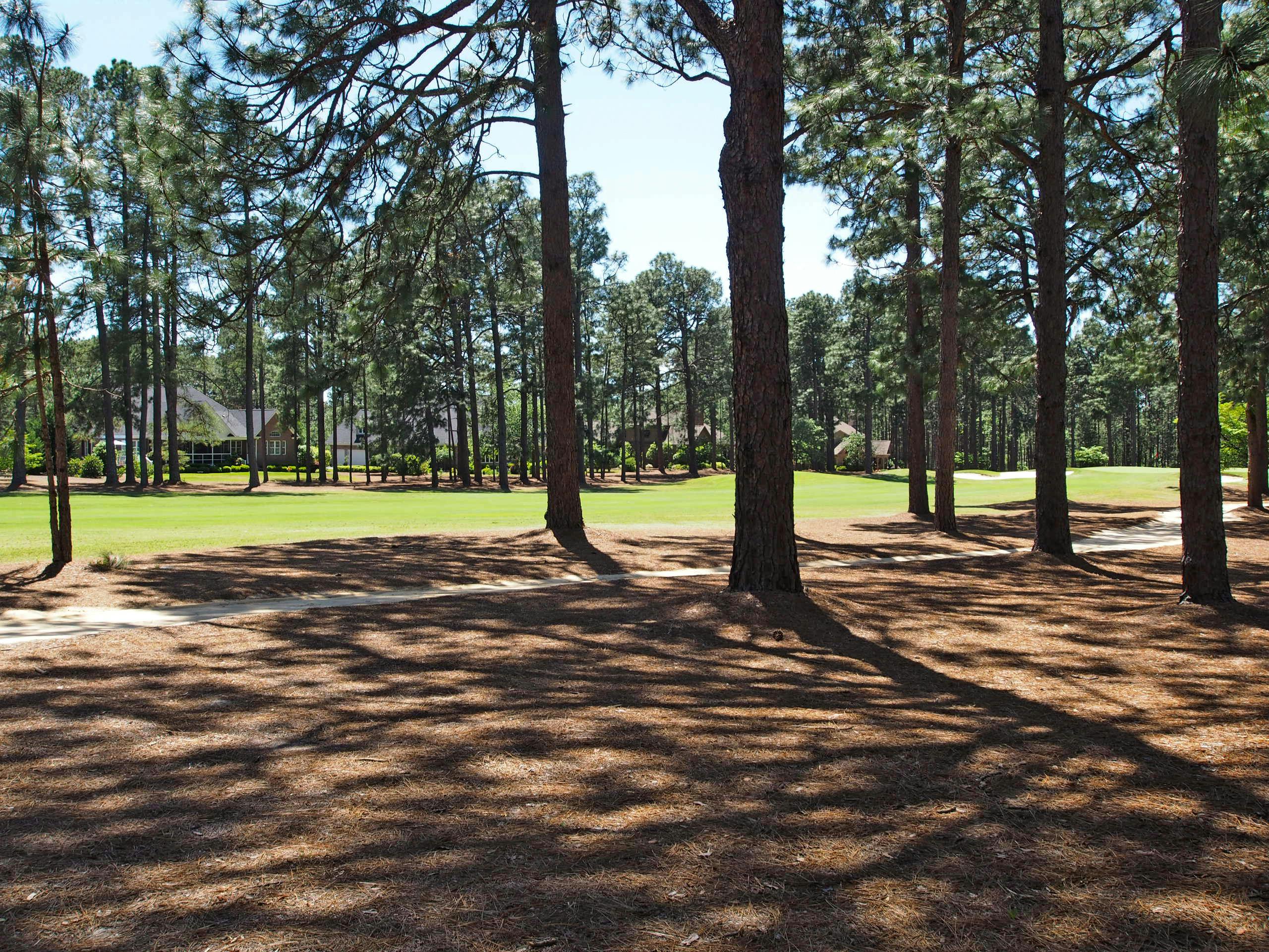 Pinewild Golf Lot