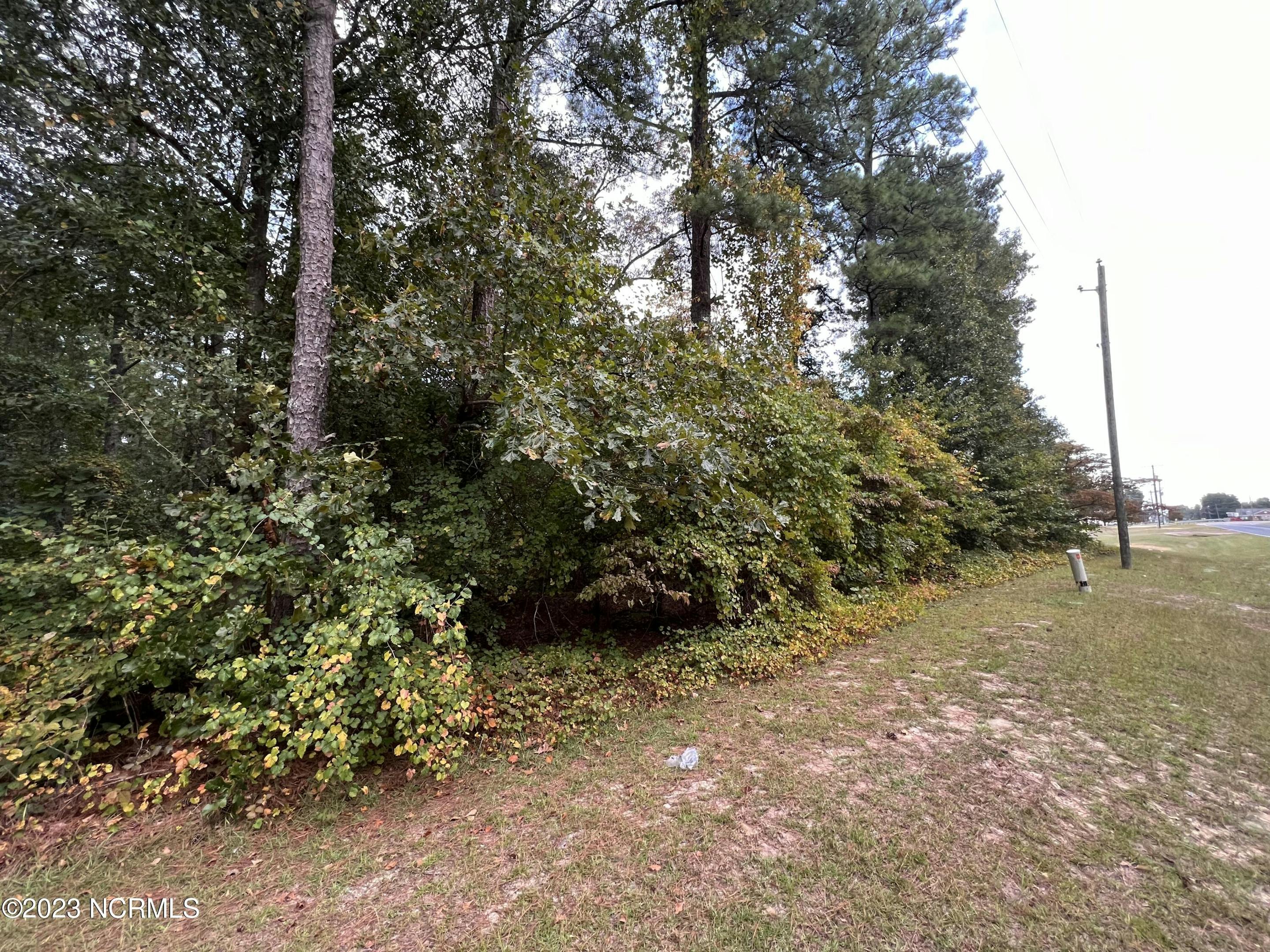 Front left of the 1.0 acre lot