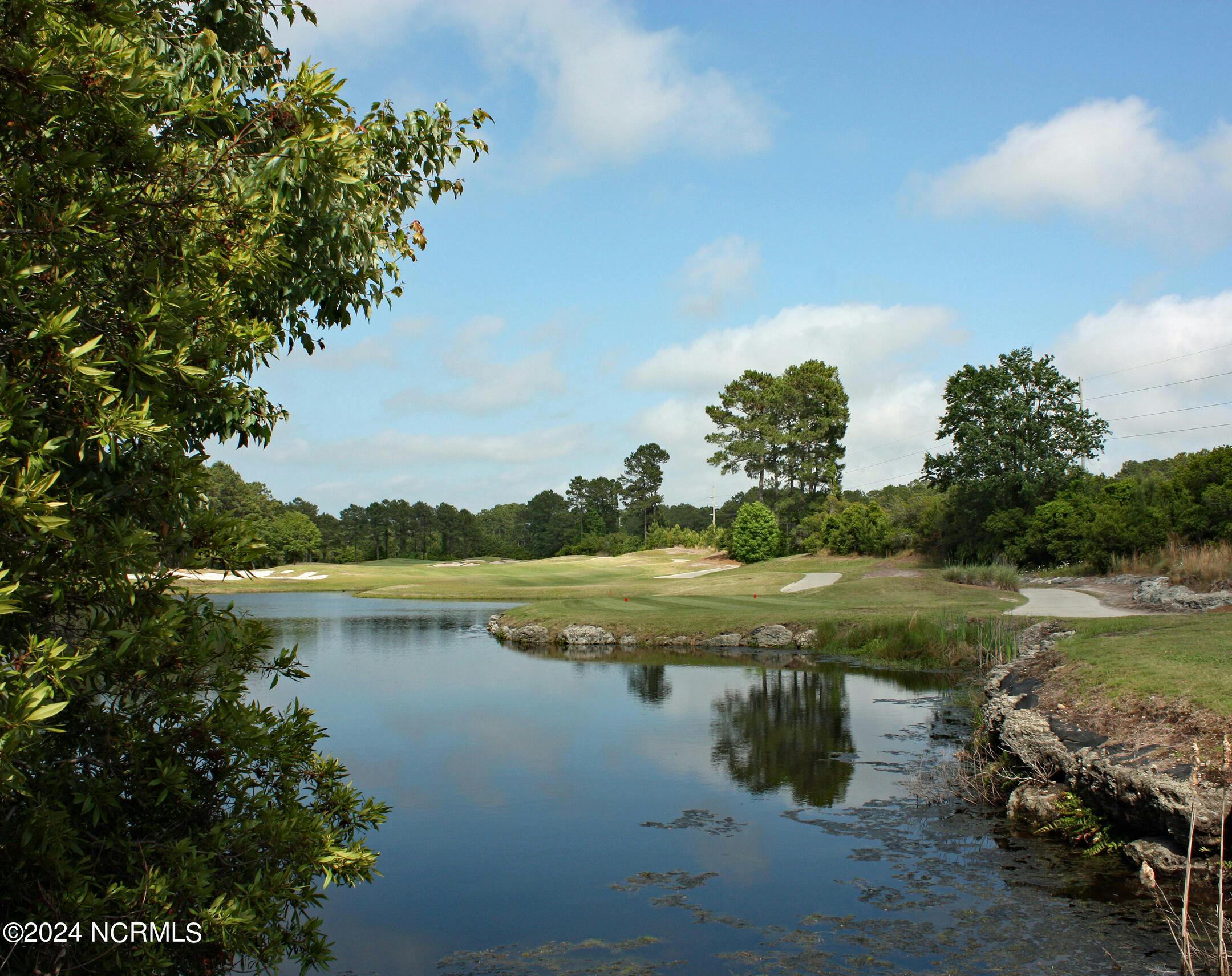 Golf Views beyond treeline