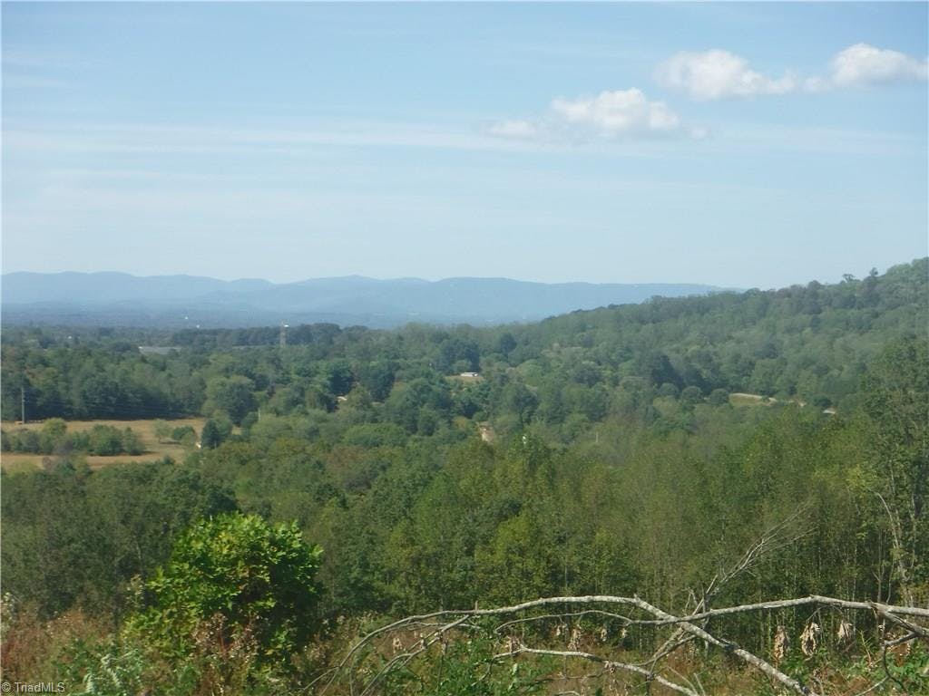 LOOKING NORTH AT THE BLUE RIDGE MOUNTAINS FROM THE KNOLL IN THE MIDDLE OF THE PROPERTY