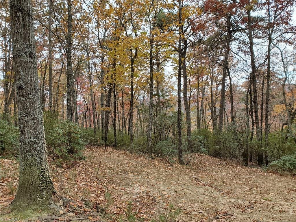 Exterior photo of Lot #49B Bell Mountain Road, Hays NC 28635. MLS: 956933