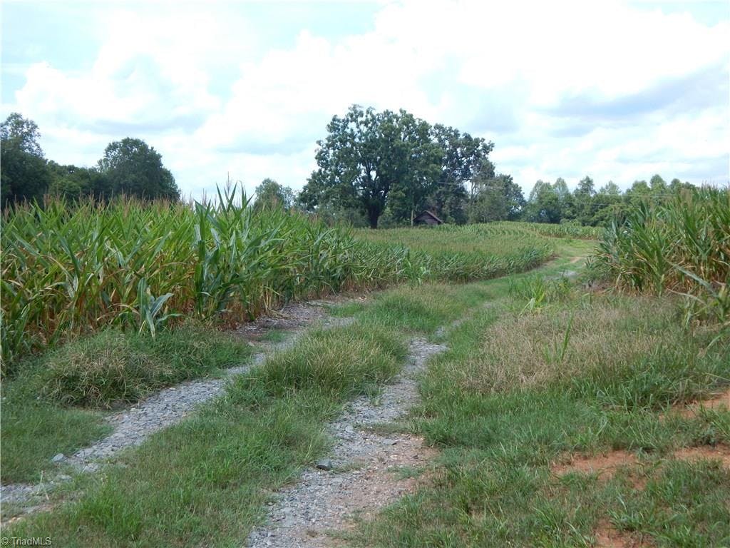 Old farm road leads to the amenities of Tract A -- lush fields, creek, and river frontage.  View is toward Tract B.  Acreage is not fixed.  Buyer can adjust for more or less. Tract A is also adjacent to 3301 Limerock Road 2 BR/2BA house on 1.6 Acres.  MLS 794955.