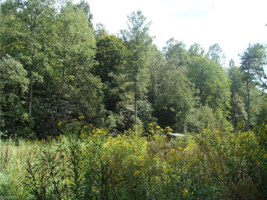 Exterior photo of 4433 Hatteras Trail, Hamptonville NC 27020. MLS: 902560