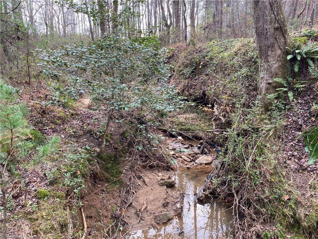 Large creek runs a long left side of property