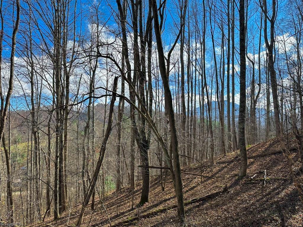 Welcome to Lot 2 at the Preserve at Stonegate where, with tree cutting, spectacular views await you!