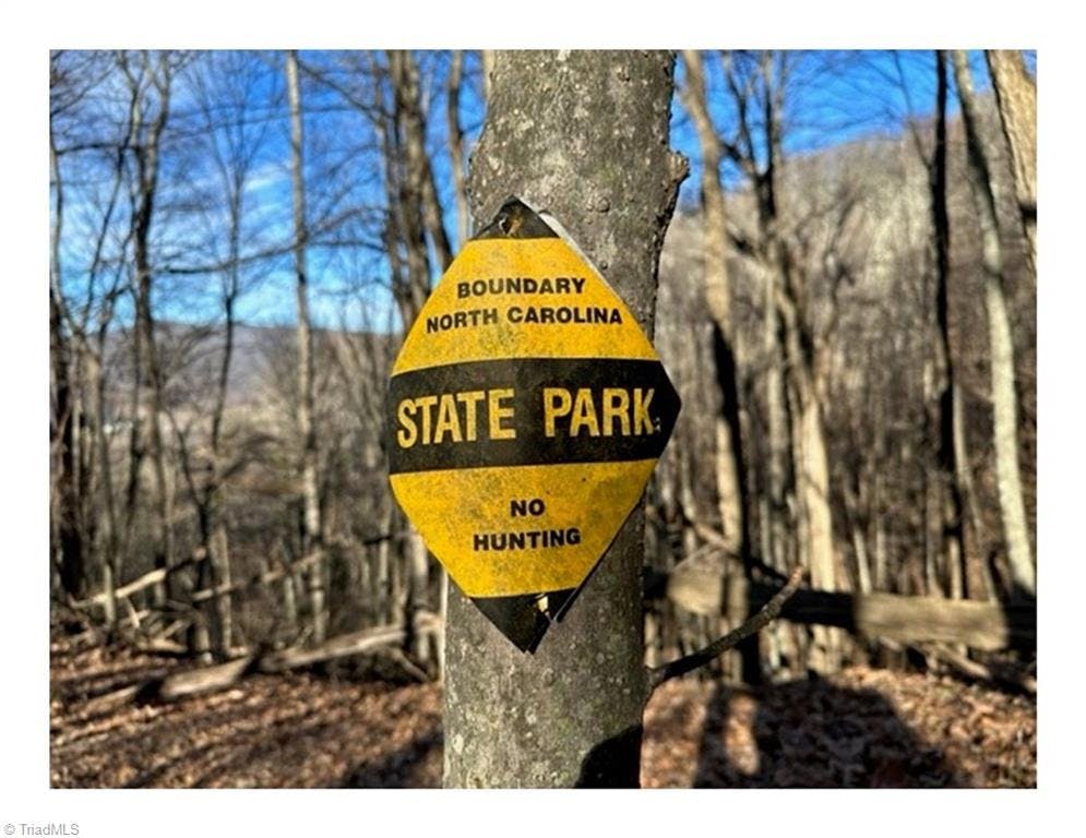 33.76-Acres Adjoining Mt. Jefferson State Park