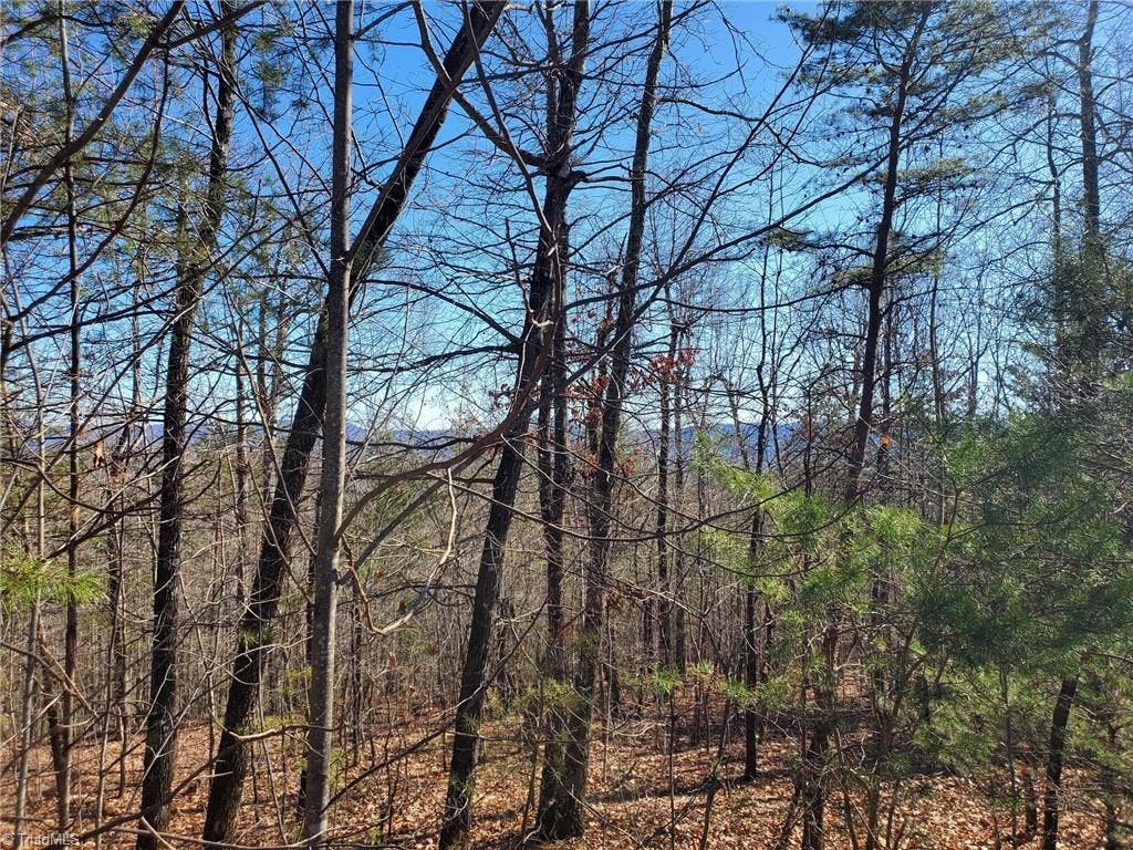 Exterior photo of Lot 5 Sweetwater Road, Boomer NC 28654. MLS: 1095198