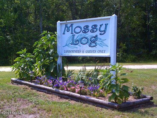 Mossy Log Entrance