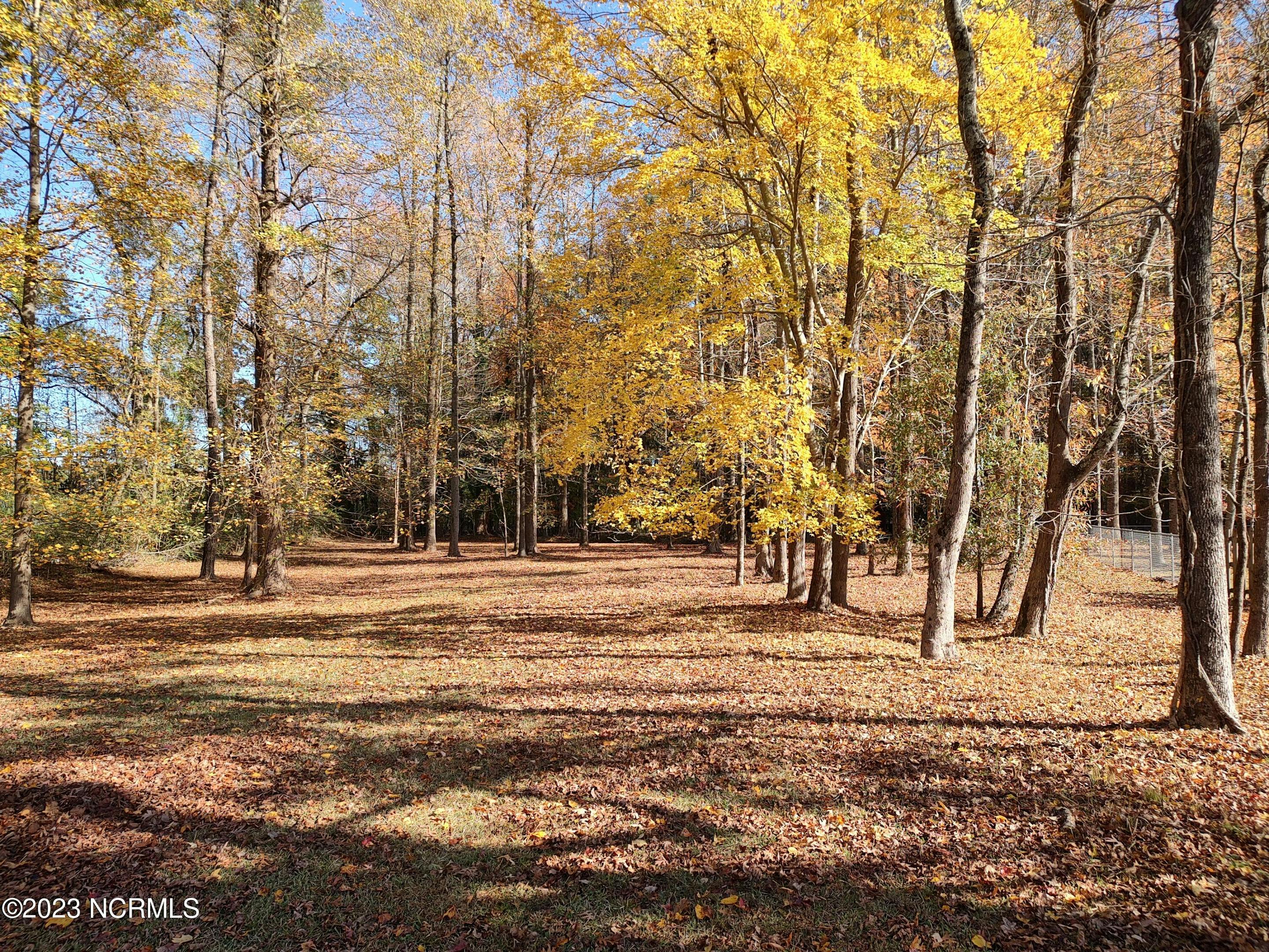 Land for Sale in Washington, NC