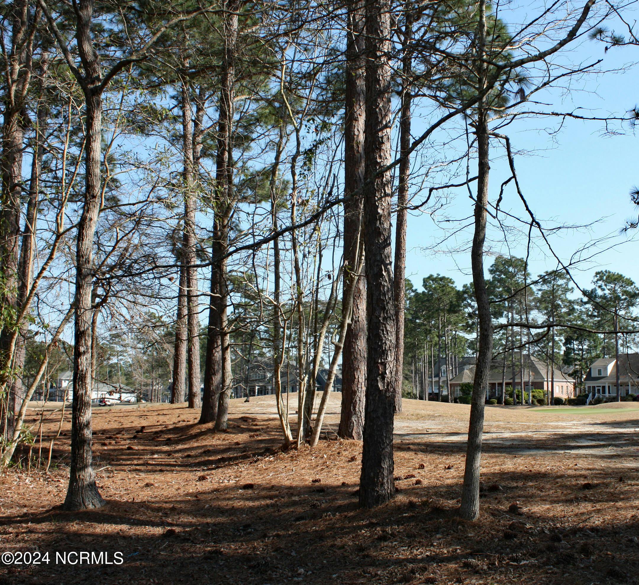 Wooded Golf Homesite - Copy (2)