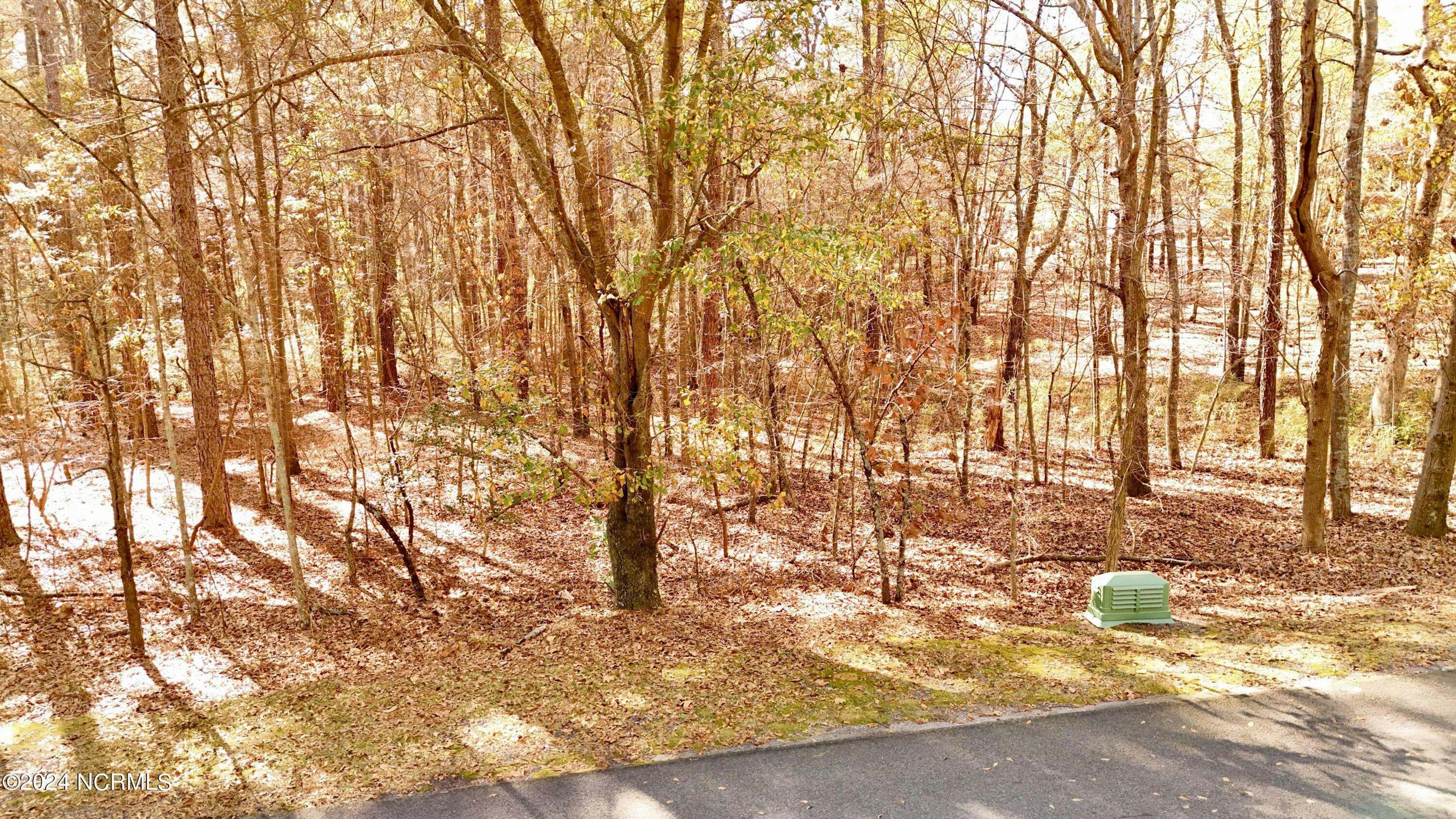 Wooded lot