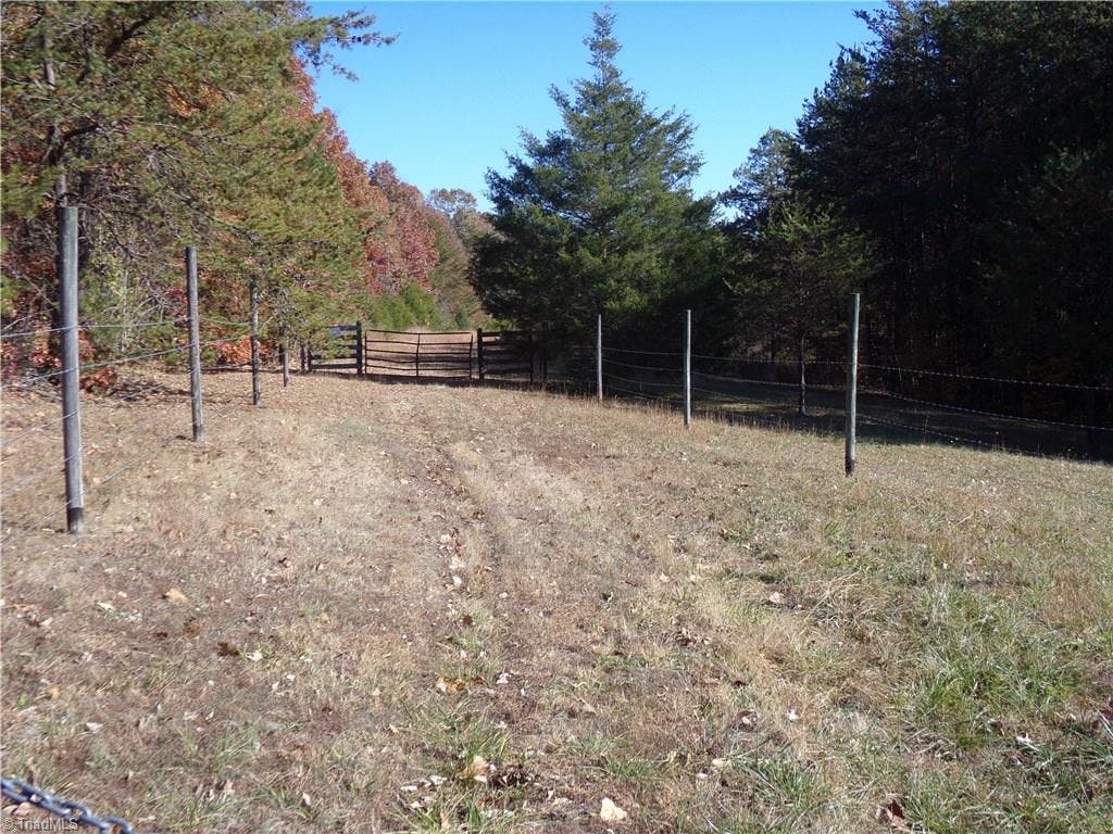 Road bed leading to the back of the property