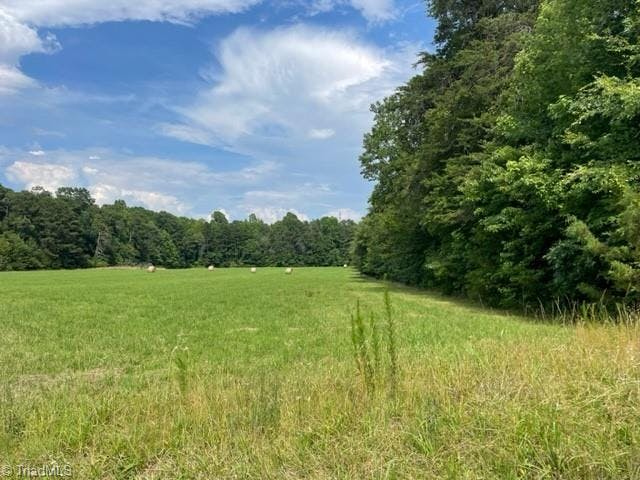 Open Pasture/Guilford County