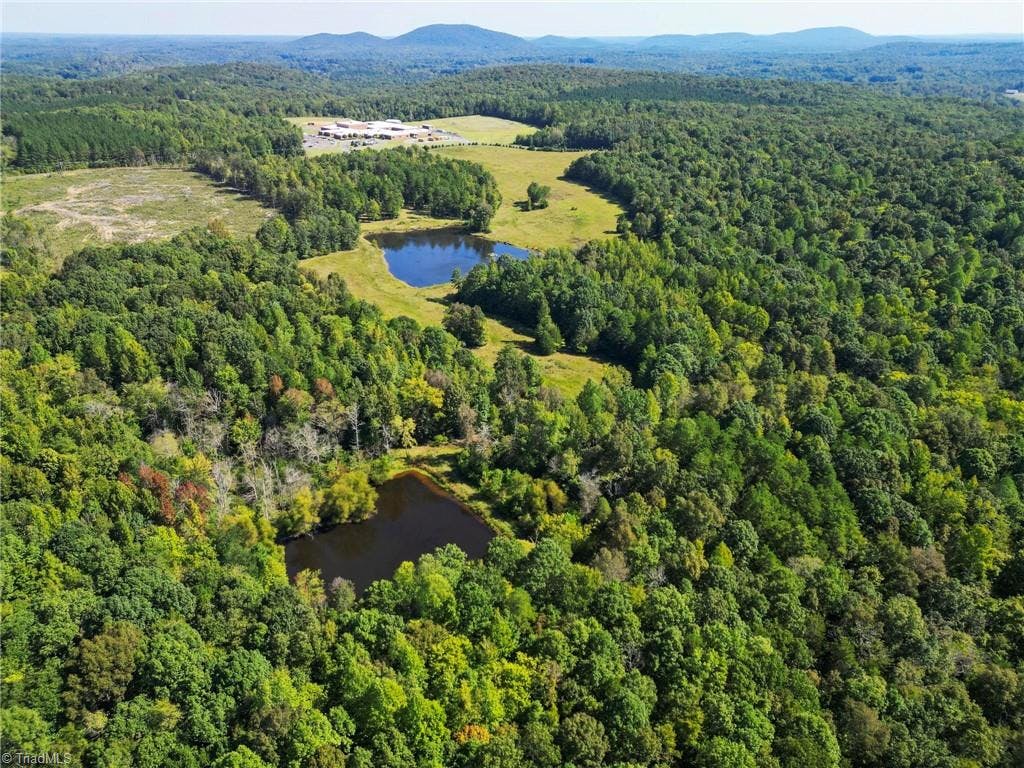 52+ acres with 2 beautiful ponds